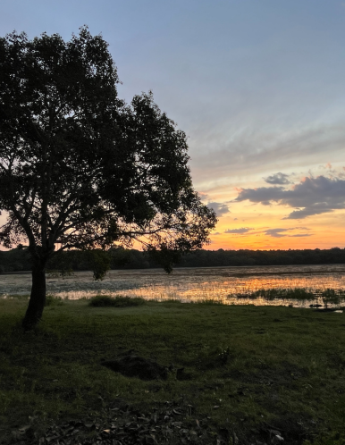 Wilpattu Safari